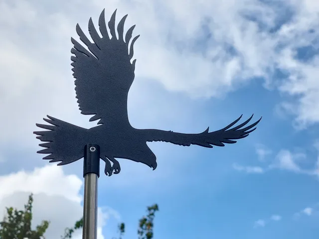 Eagle Silhouette