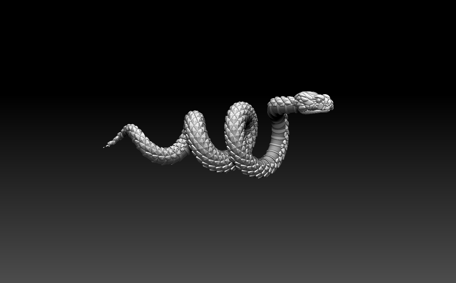 Snake — thumbnail 9