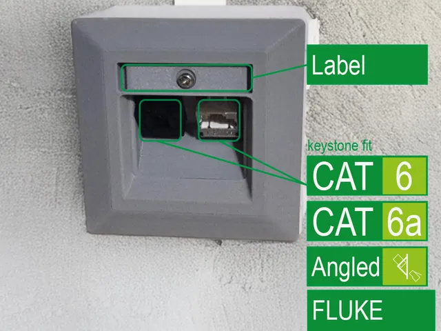 Angled keystone wall plate 2xKeystone (CAT 6, 6a)