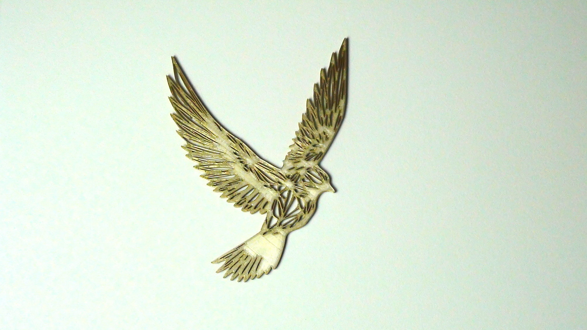 Bird Flight
