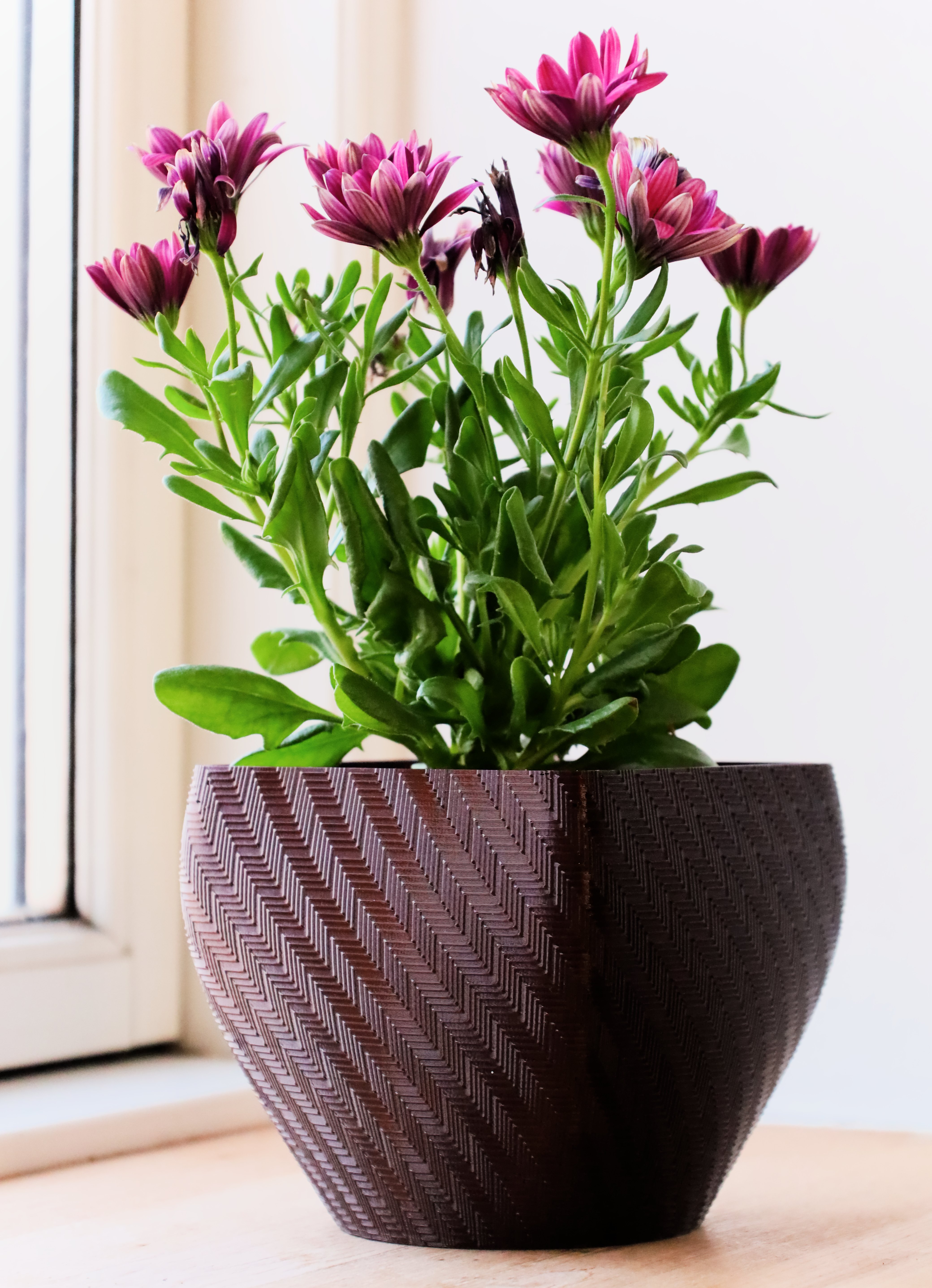 Pot 8