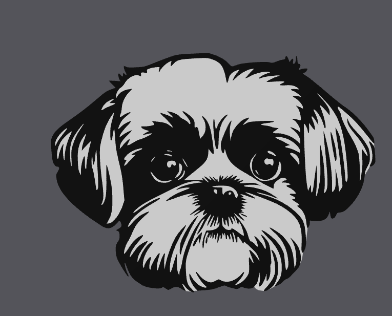 Shi Tzu 2