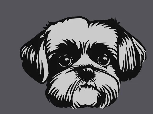 Shi Tzu 2