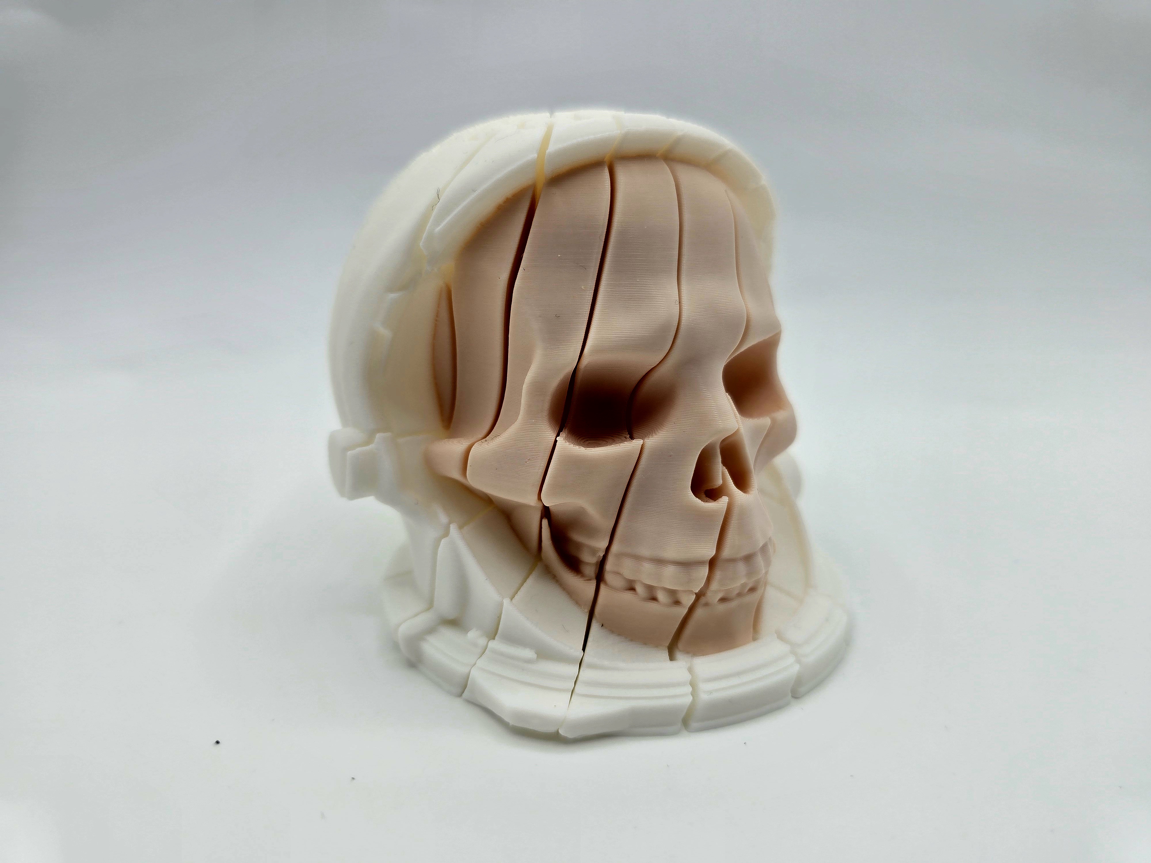 Twist Astronaut Skull Fidgets Full Collection