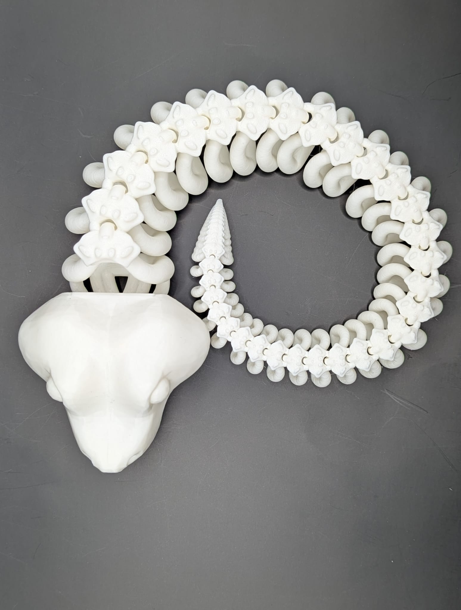 Miniatura 3 do modelo 3D Articulated Skeleton Snake