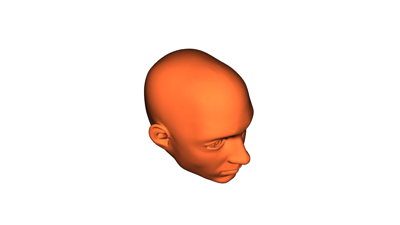 Human upgrade in Dummy 13 by Zuk | Download free STL model