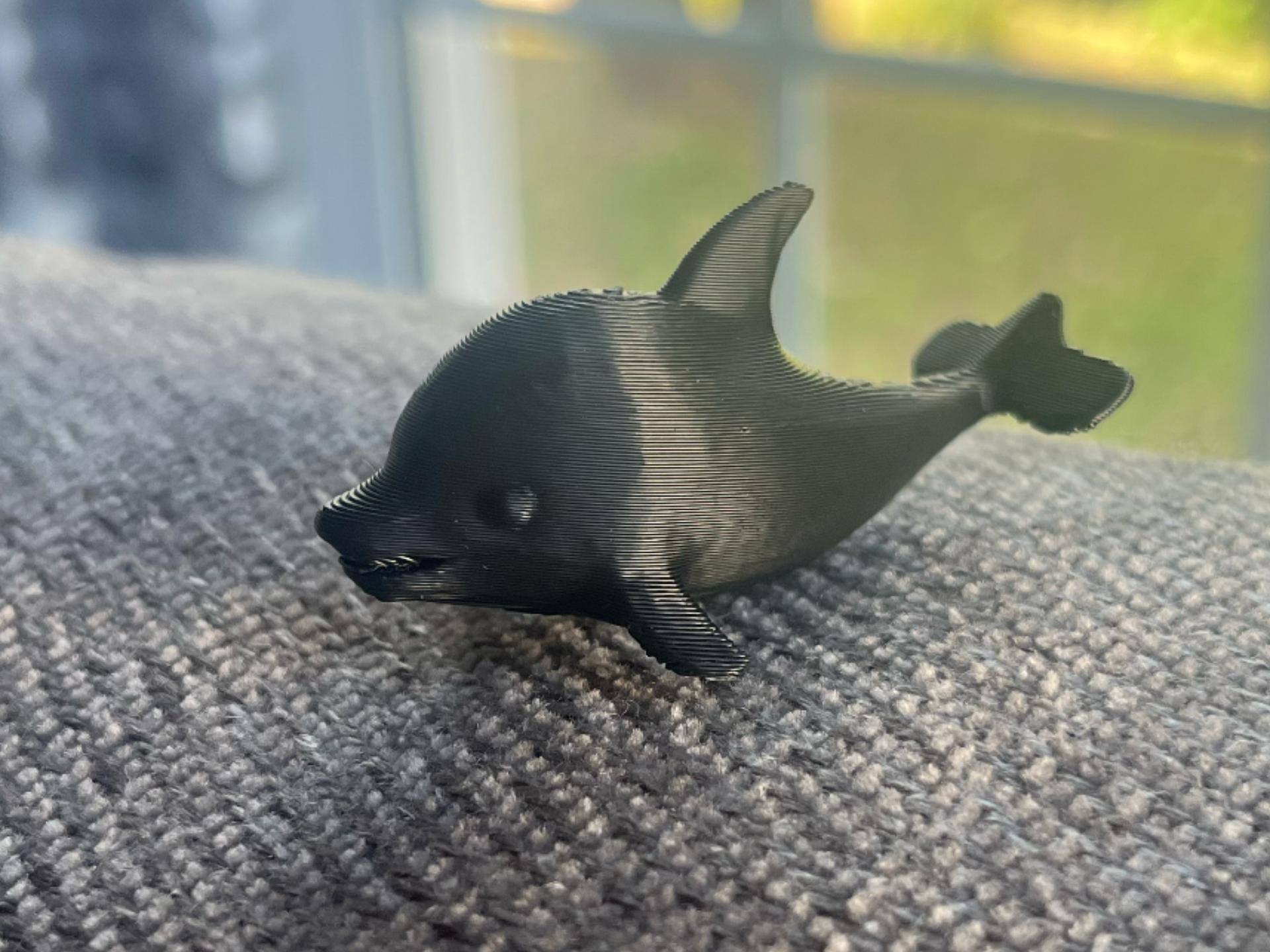 Dolphin