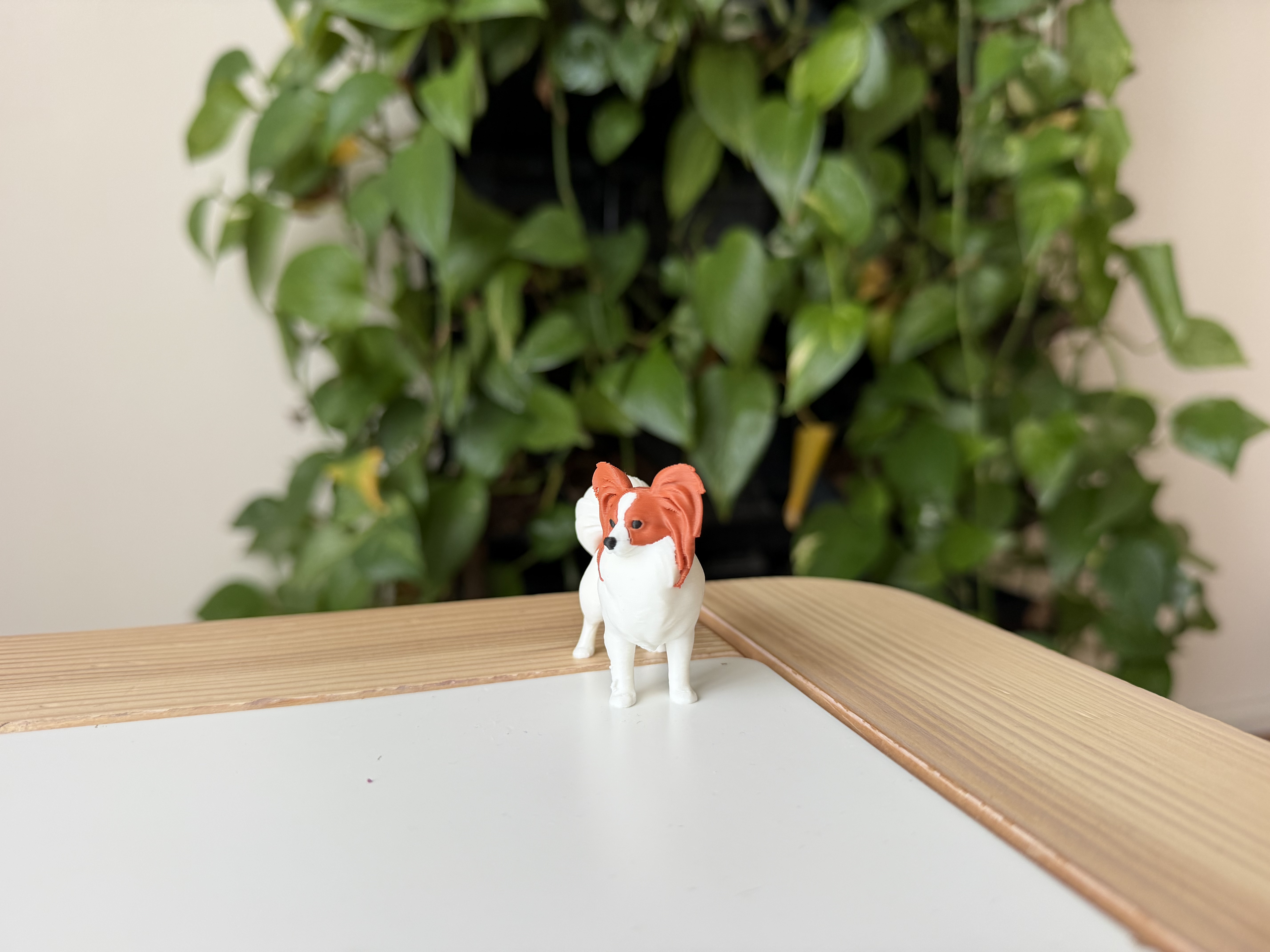 Miniatura 3 do modelo 3D Papillon