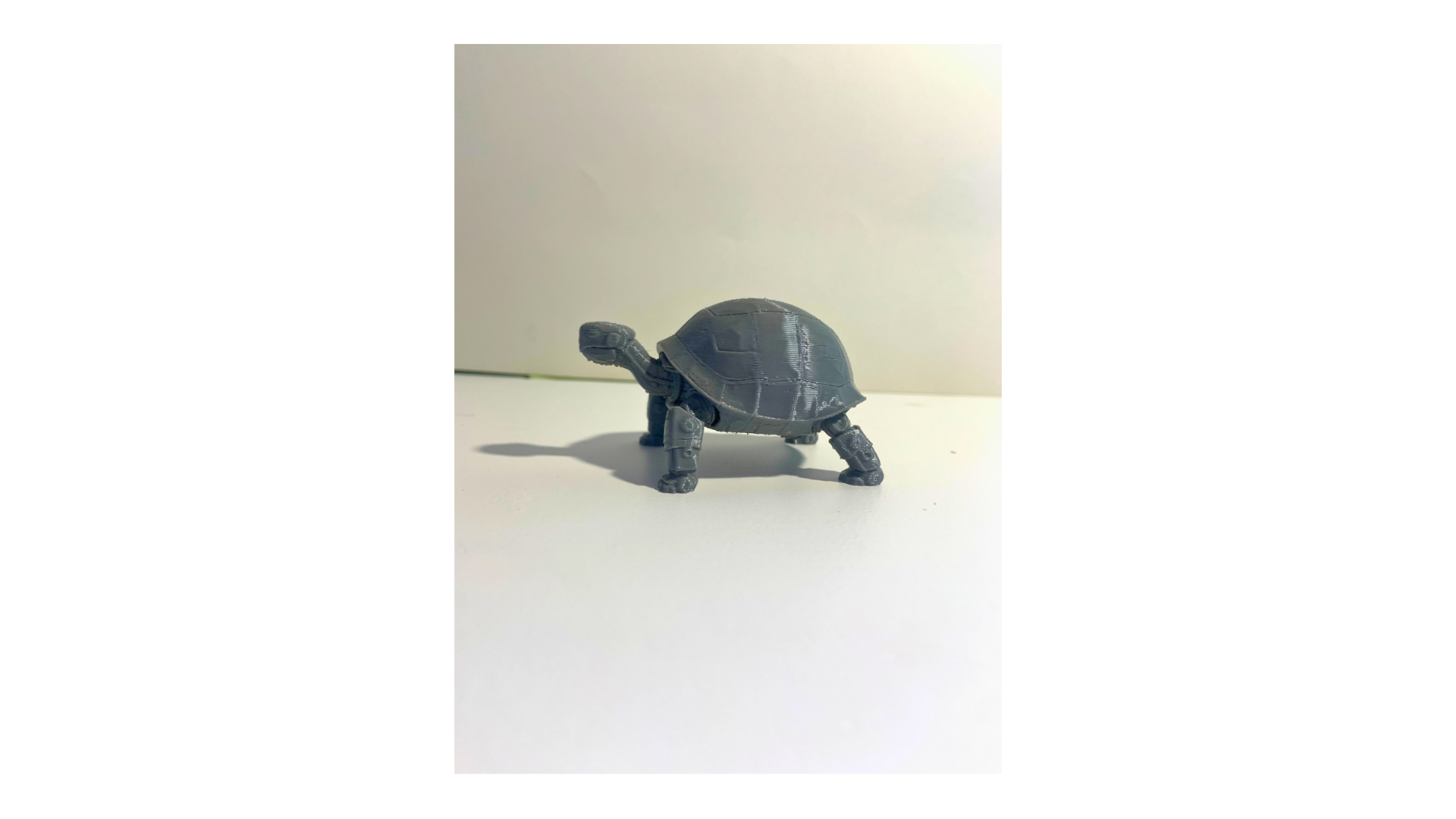 Miniatura 2 do modelo 3D Robot turtle