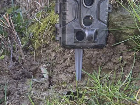 Wildlife camera peg