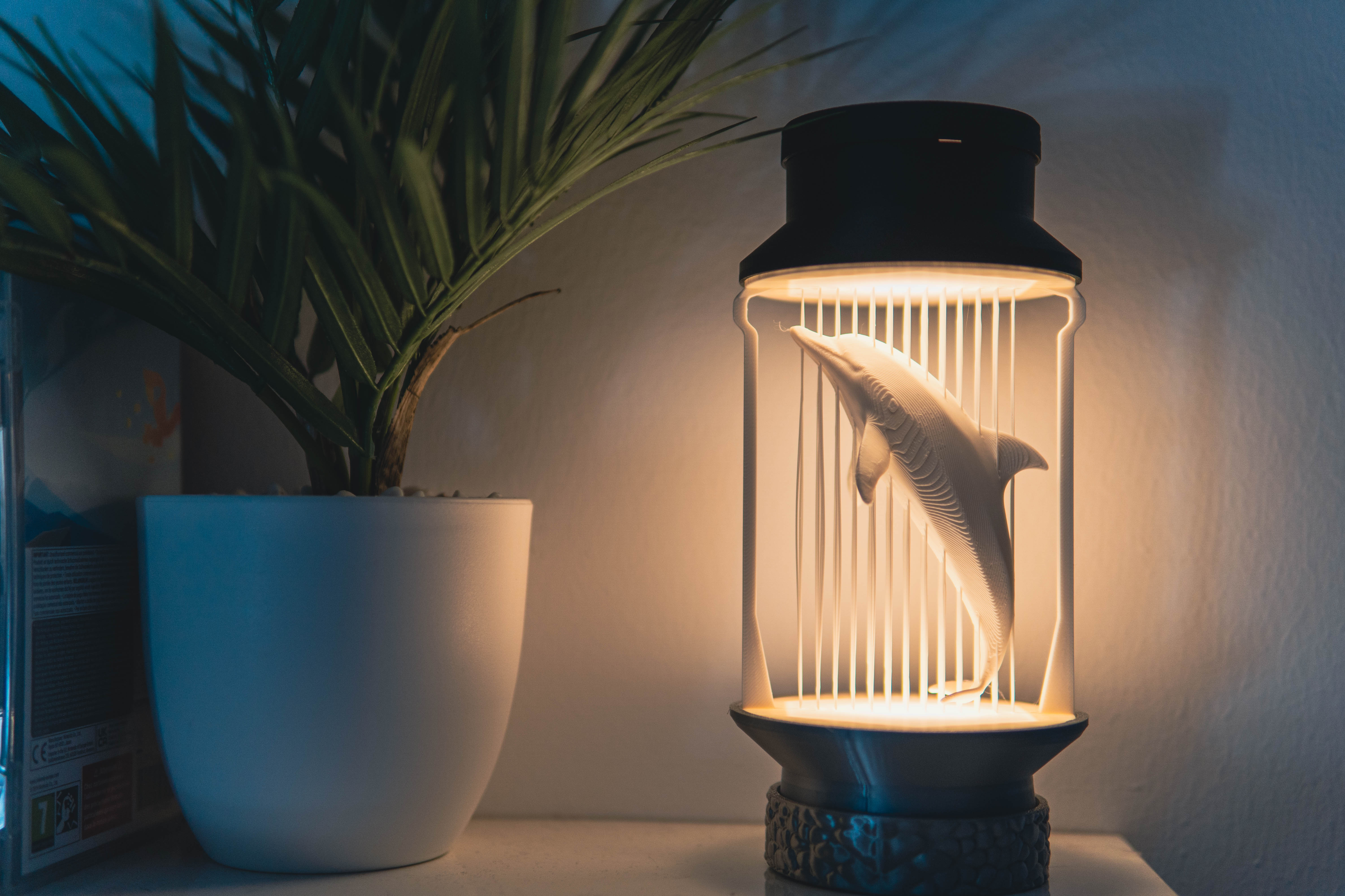 Modern Dolphin String Lamp