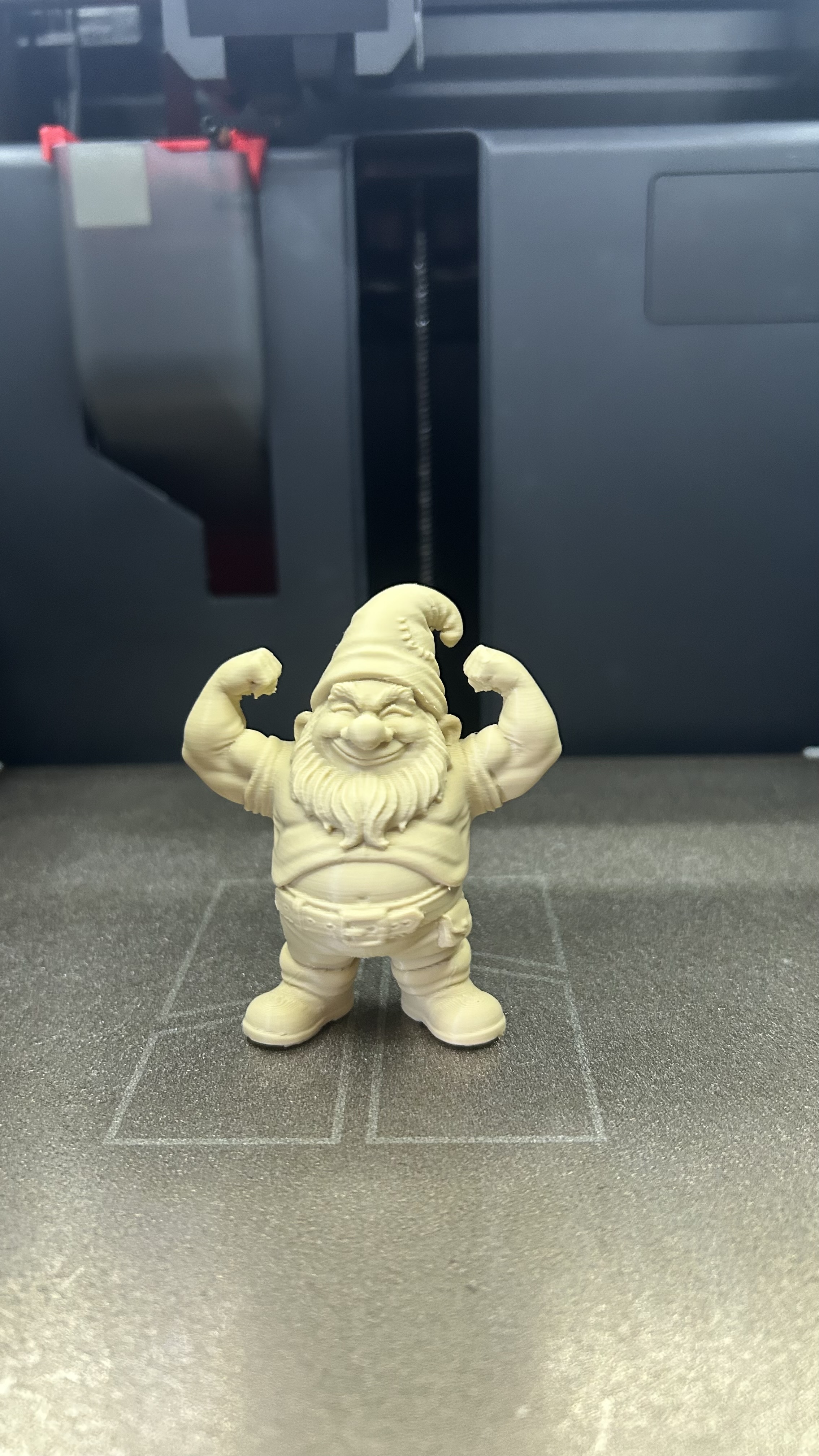 Muscle Gnome