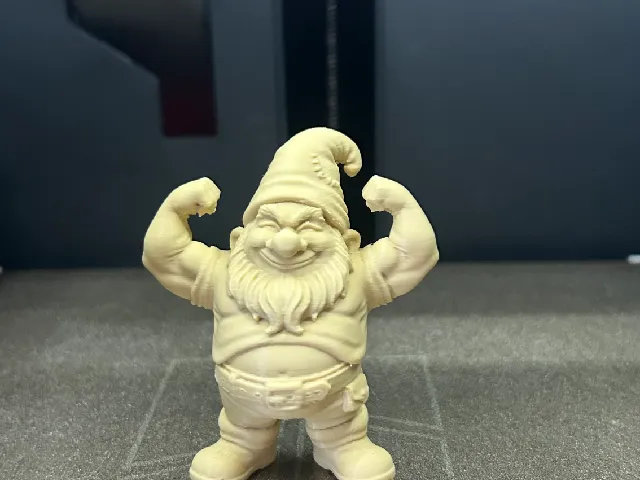 Muscle Gnome