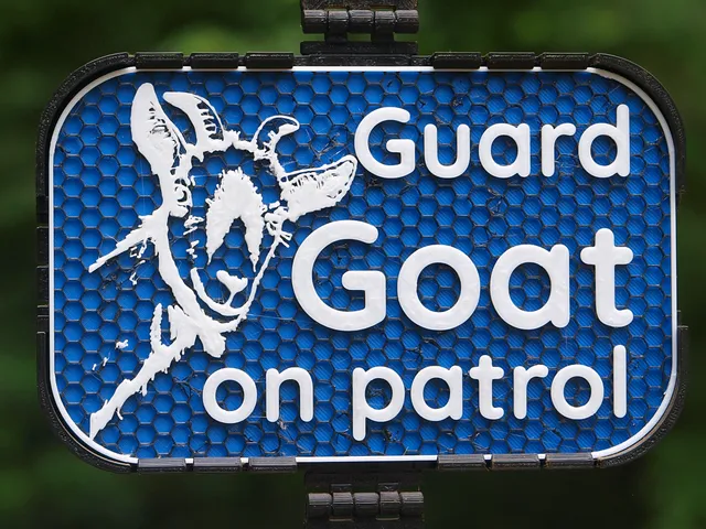 Guard Goat sign