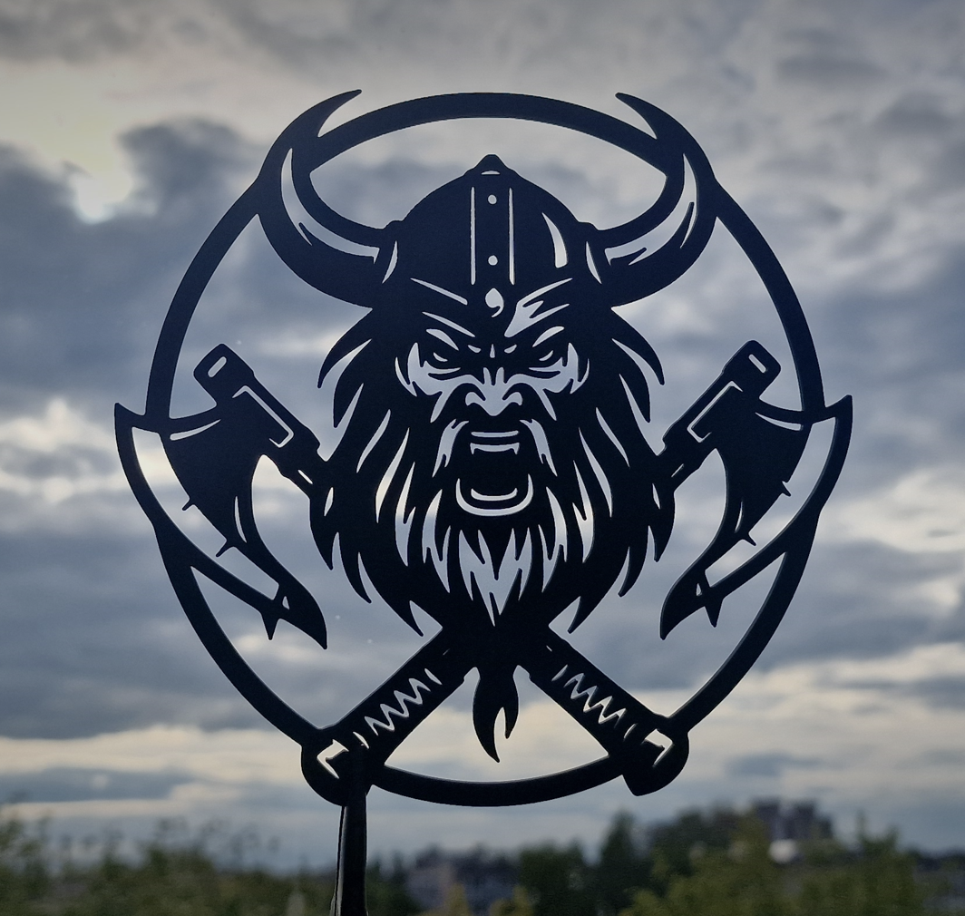 Viking 001