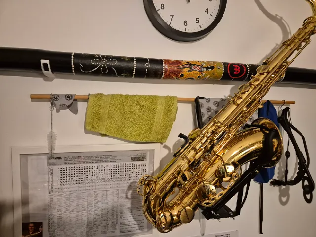 Didgeridoo wall mount