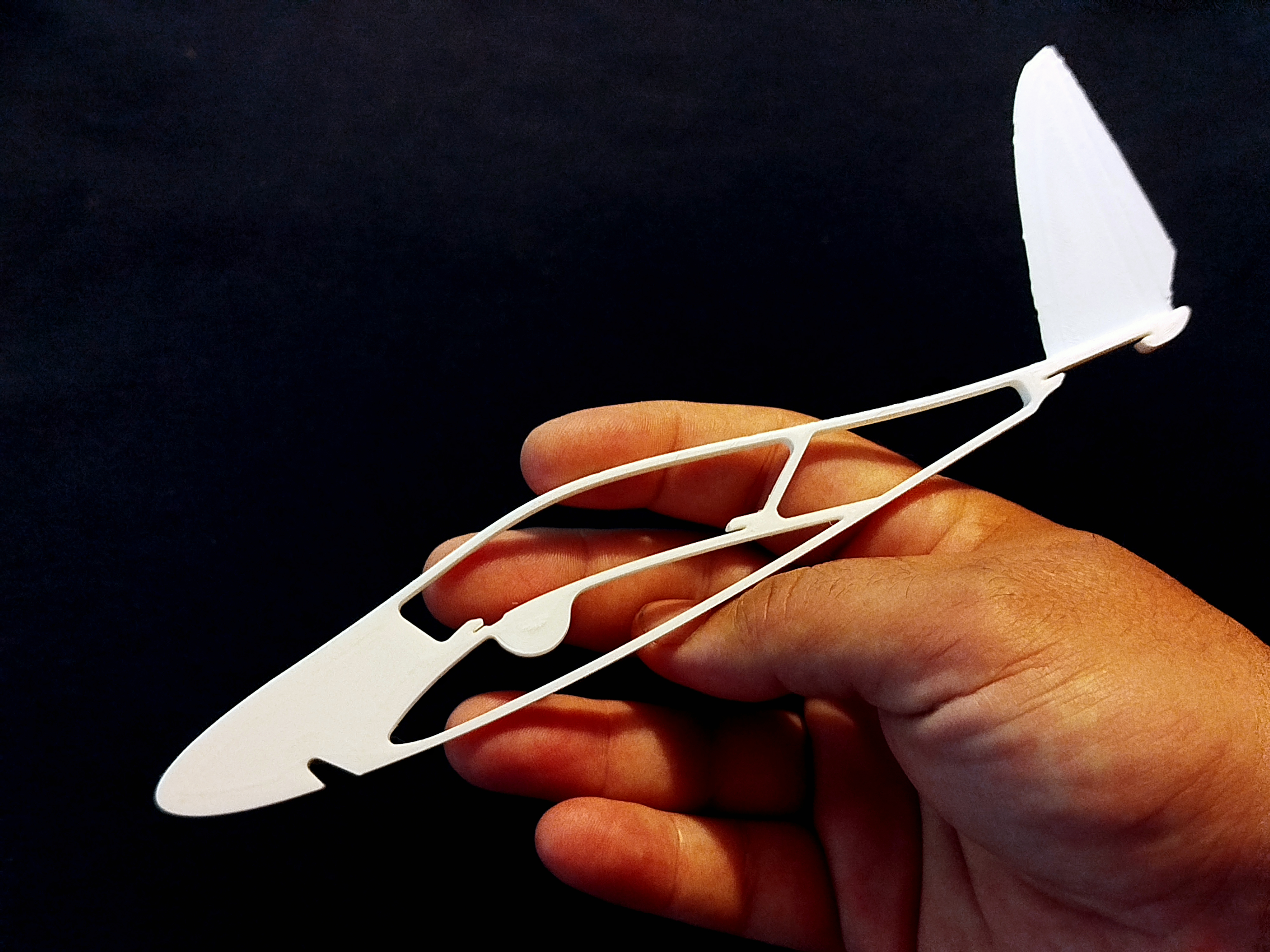 Jungle Boy 3D printable PLAne — miniatura 6