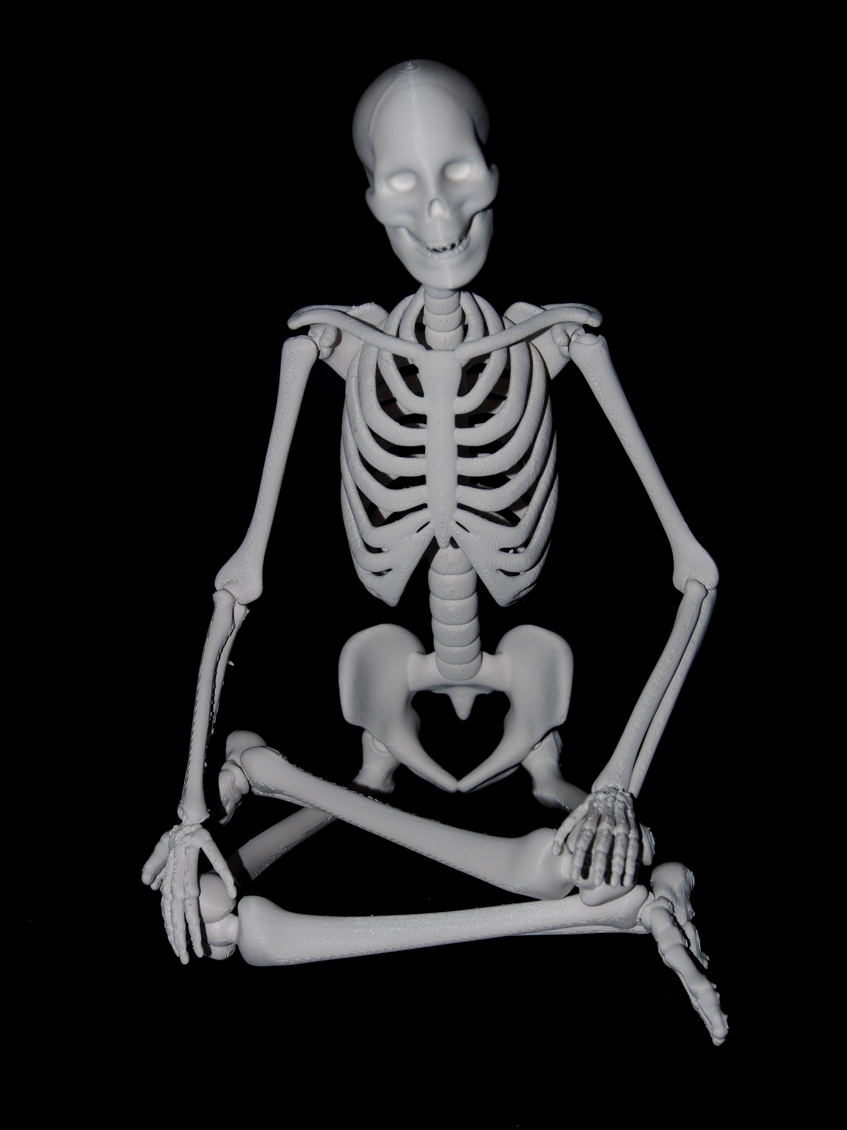 Articulated Skeleton