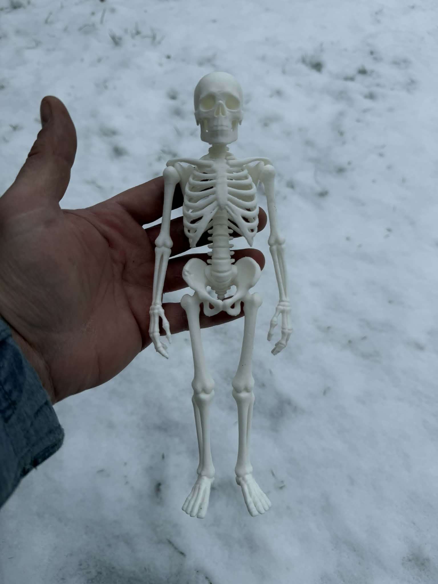 Miniatura 2 do modelo 3D Fully realistic Human Skeleton