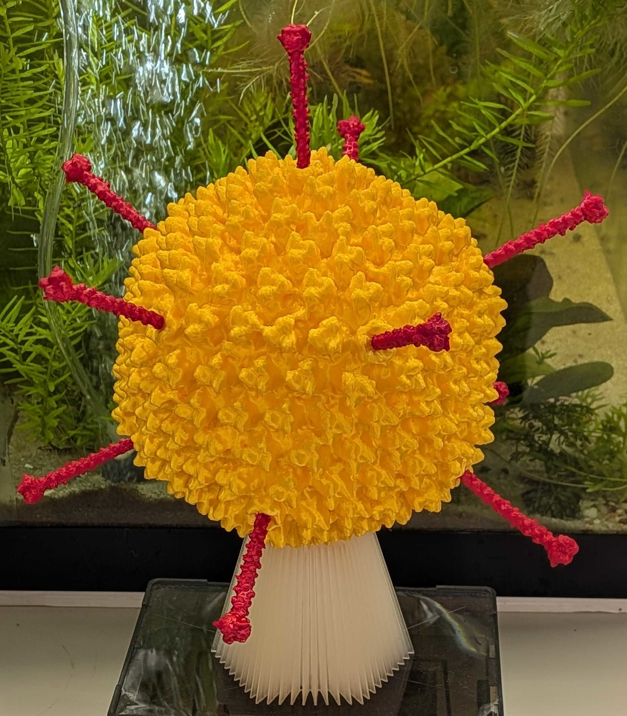 Adenovirus 5 -- The Common Cold