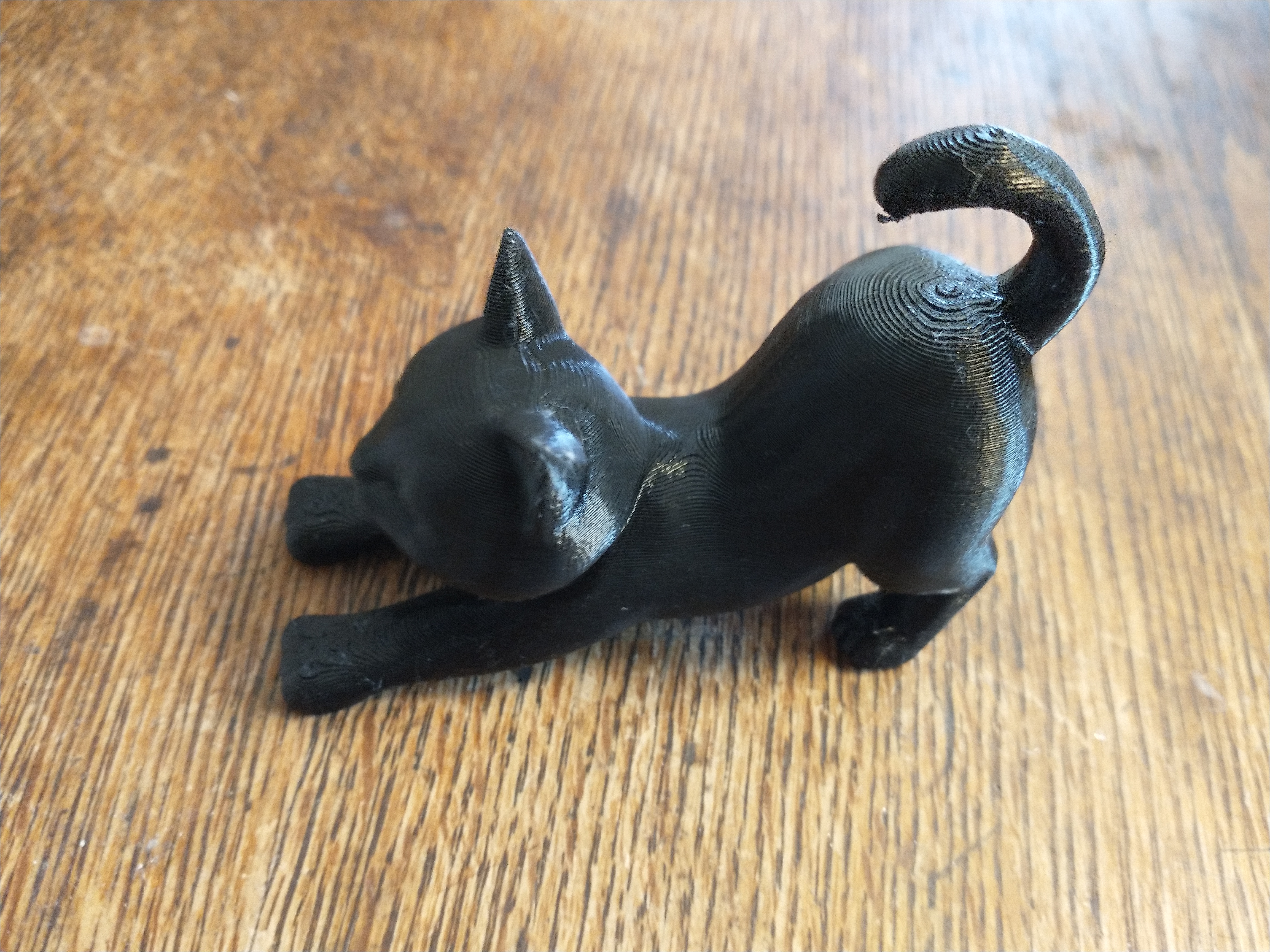 Miniatura 2 do modelo 3D Stretching Cat Remix