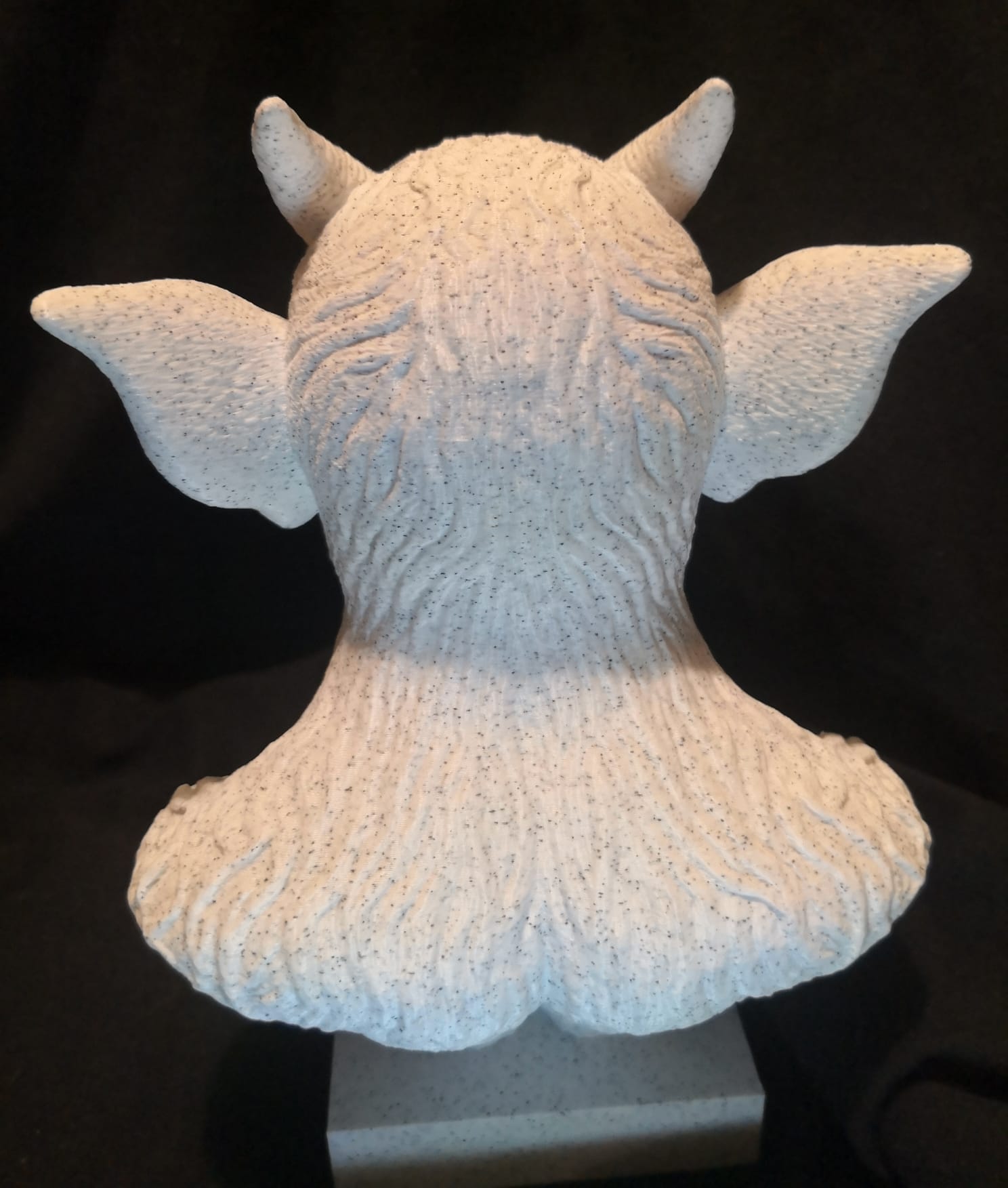 Miniatura 2 do modelo 3D Demon Bust
