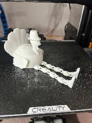 Turkey with Legs