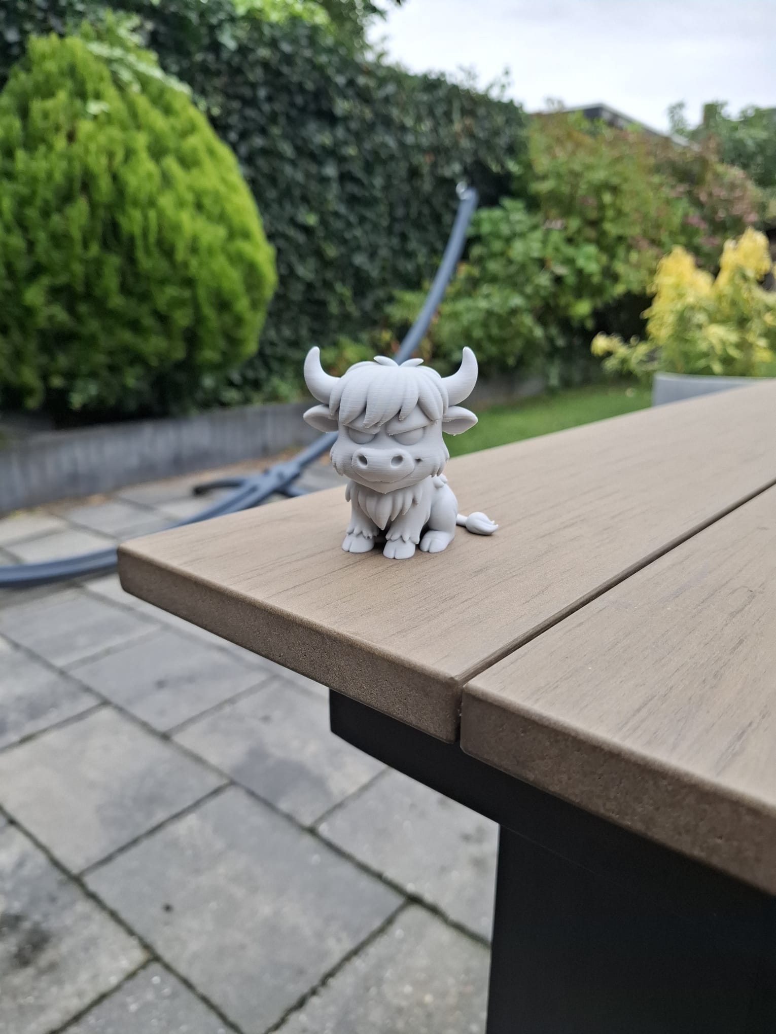 Grumpy highland cow — miniatura 4