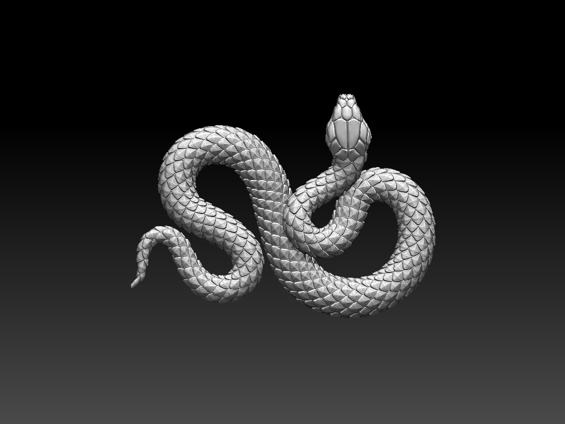 SNAKE — miniatura 3