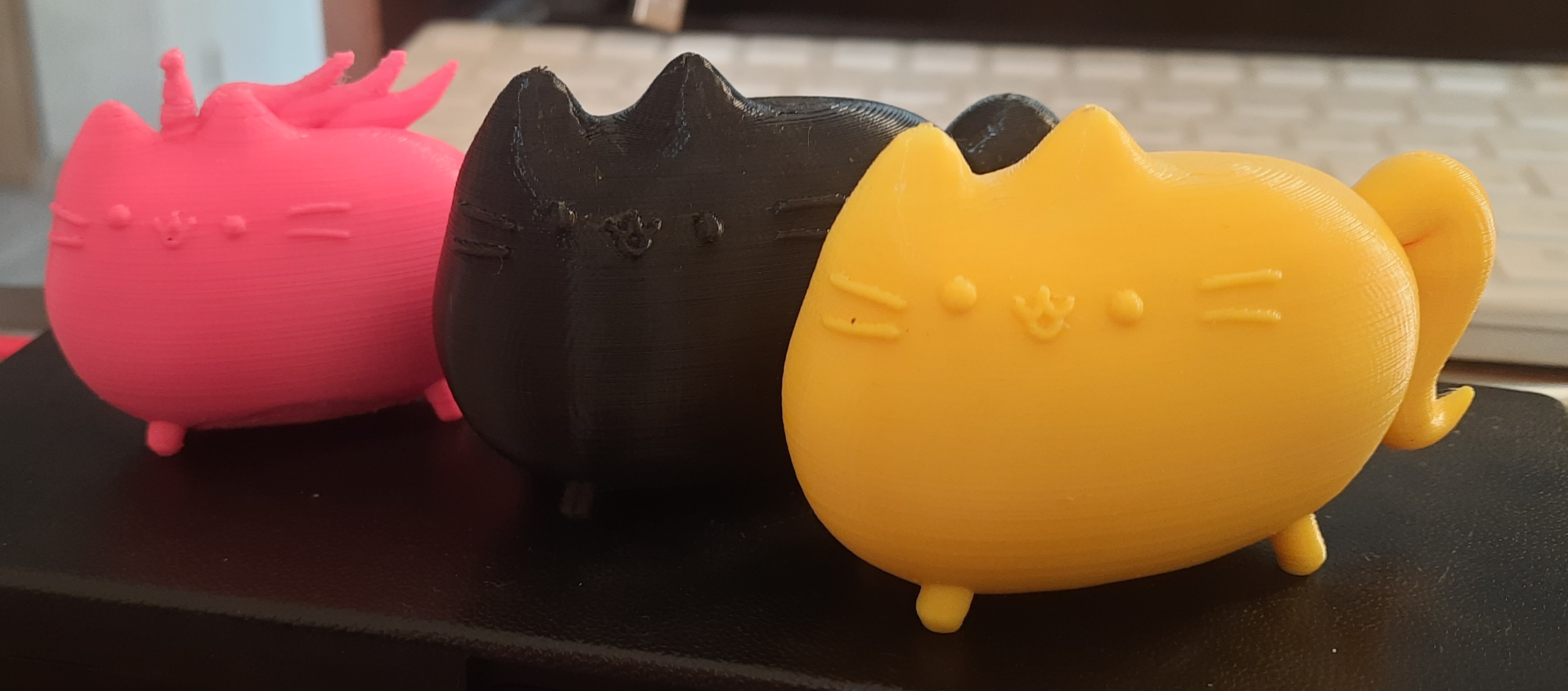 pusheen
