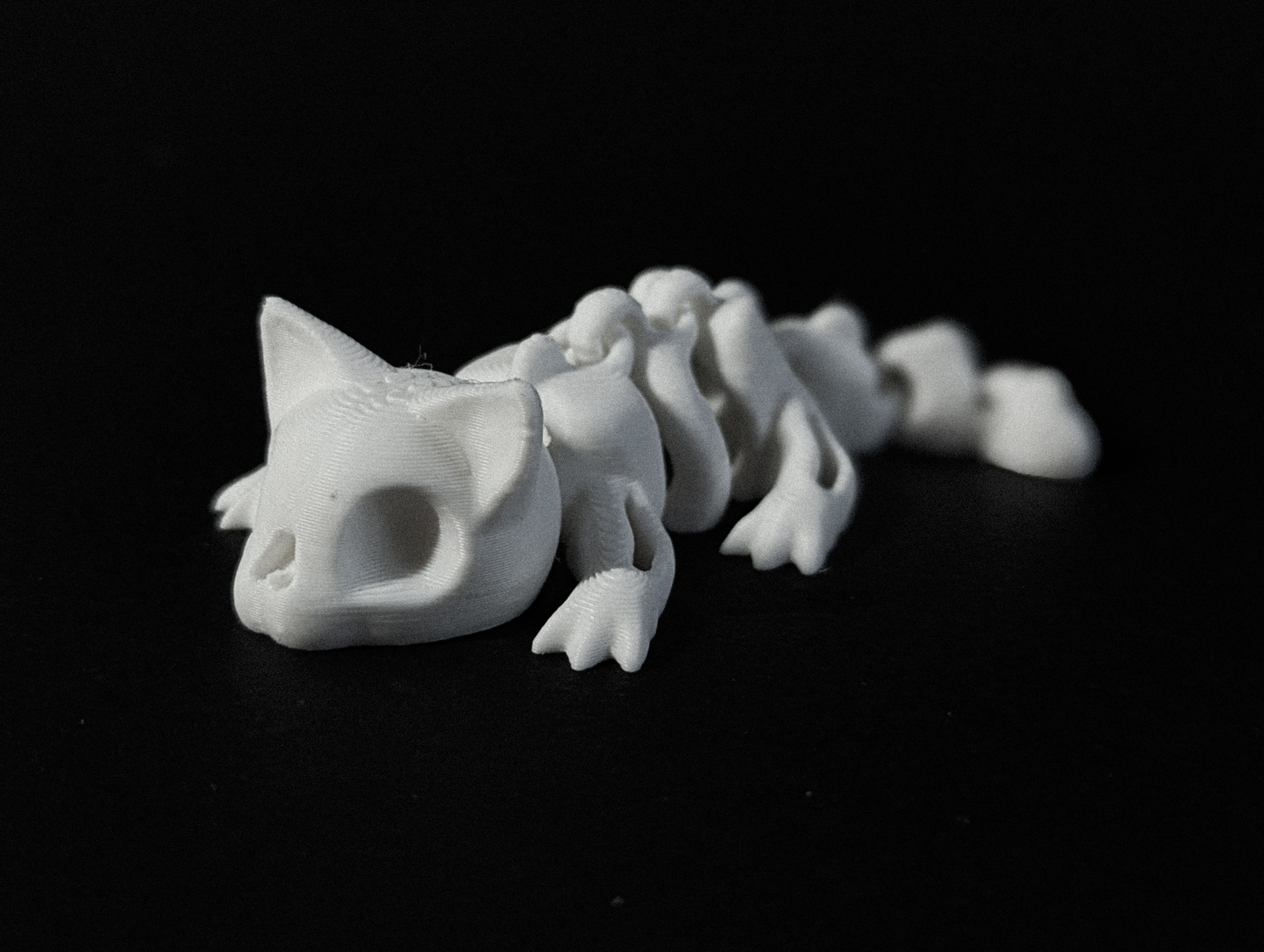 Miniatura 2 do modelo 3D Flexi Skeleton Cat