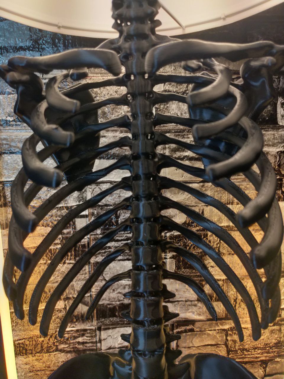 Miniatura 8 do modelo 3D HUMAN SKELETON LAMP