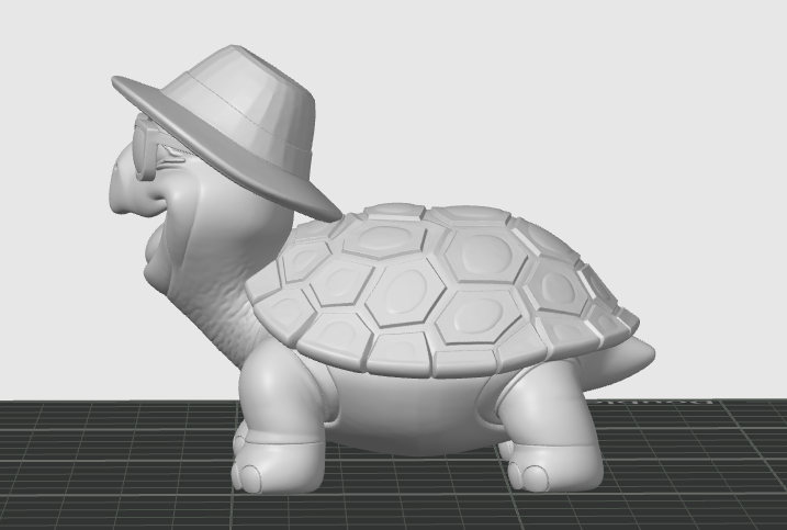 Epic Turtle — thumbnail 7