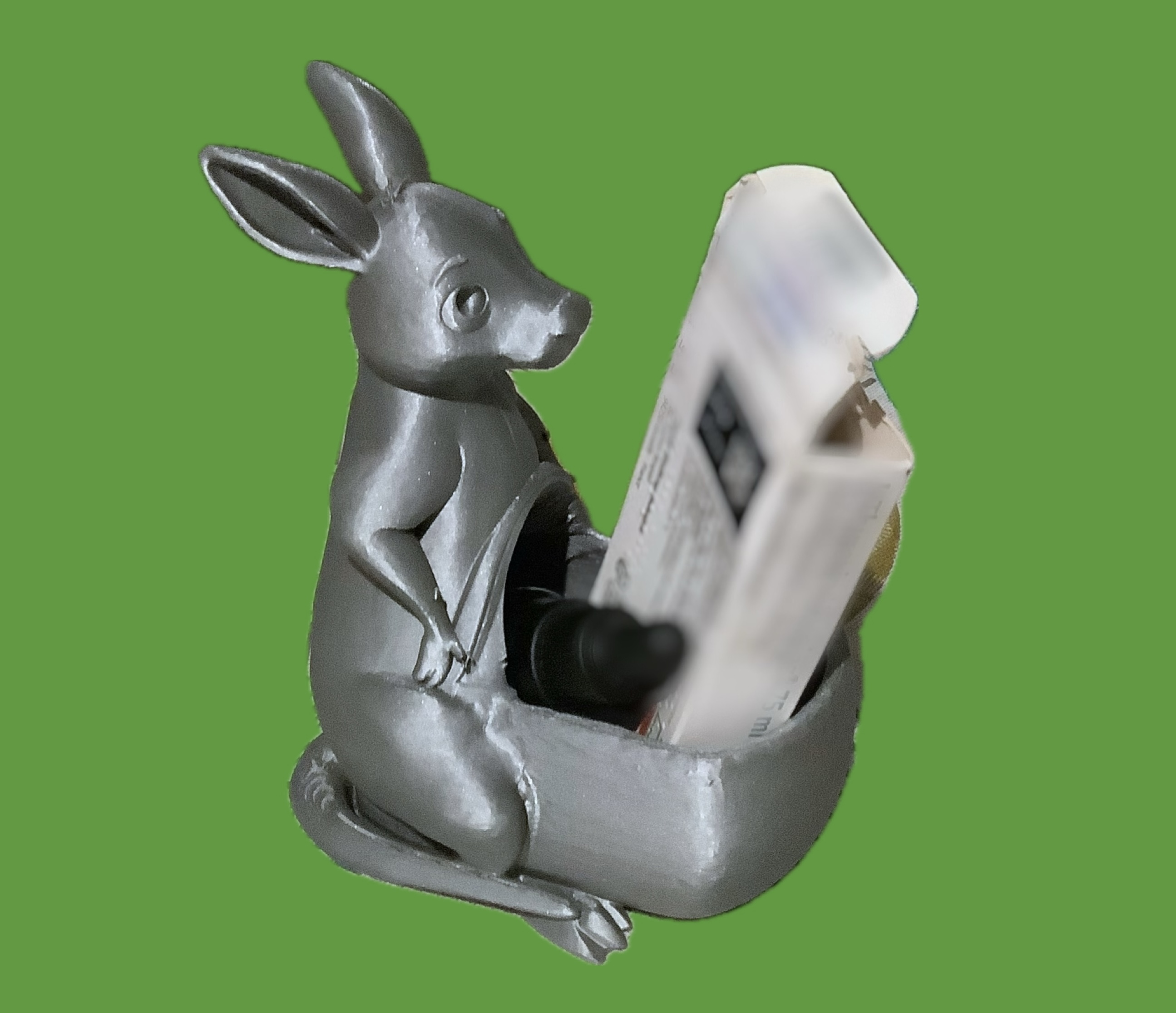 cute kangaroo with a big pocket