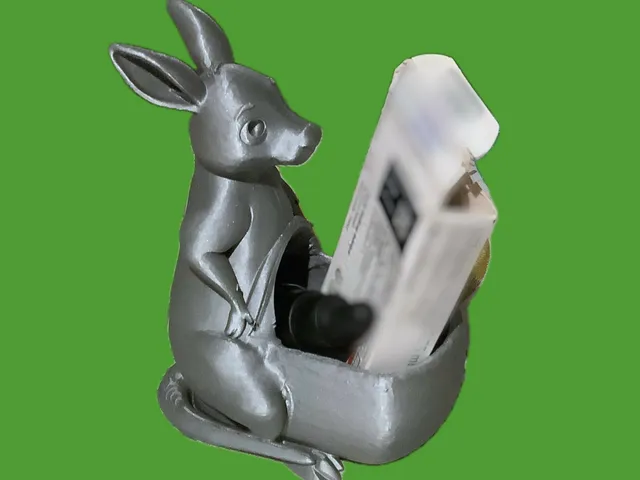 cute kangaroo with a big pocket