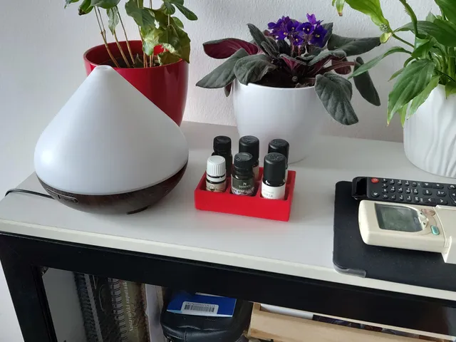 Essential Oil Organizer