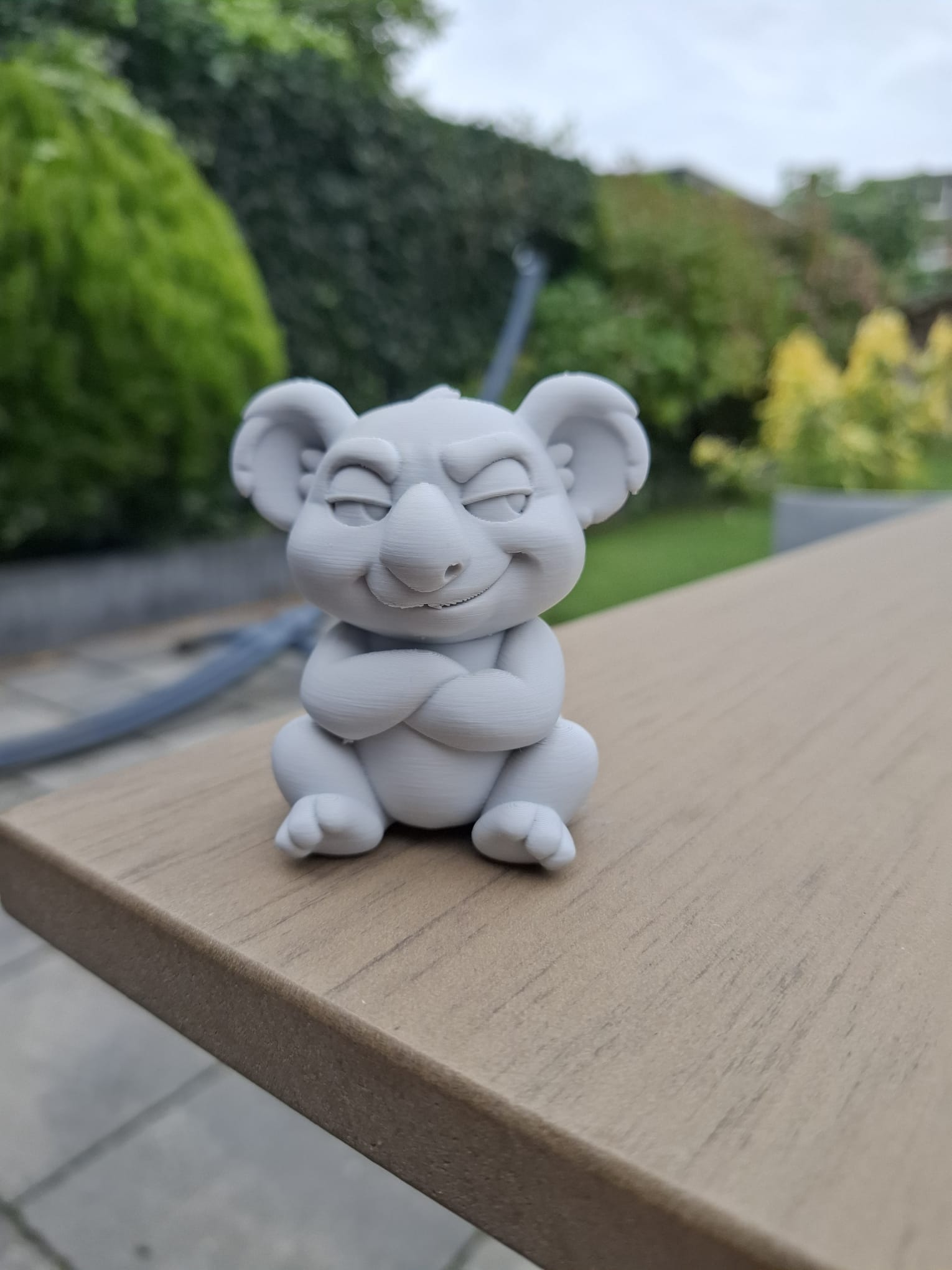Sneaky Koala