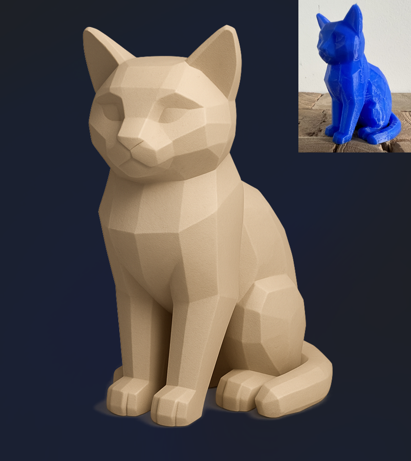 Sitting Cat