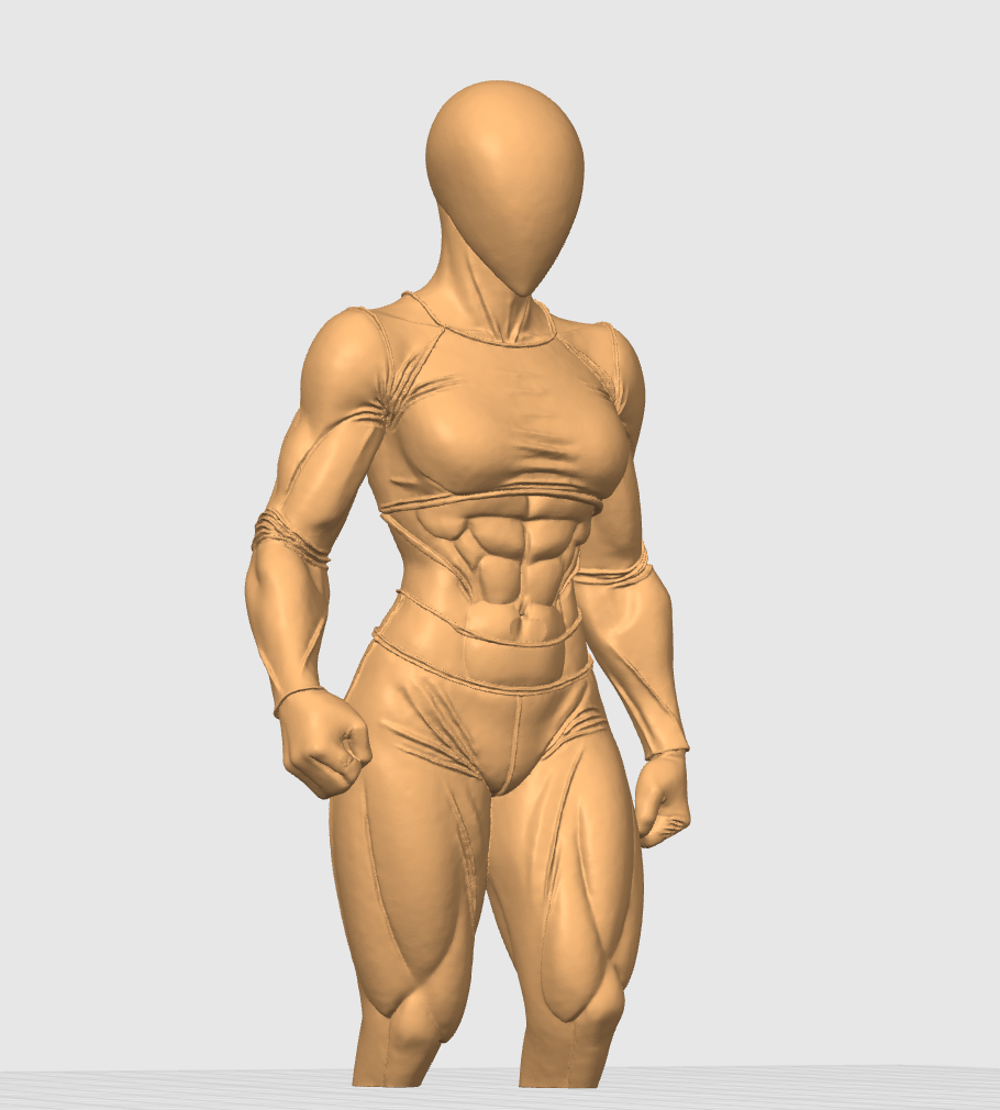 Gym Girl Torso