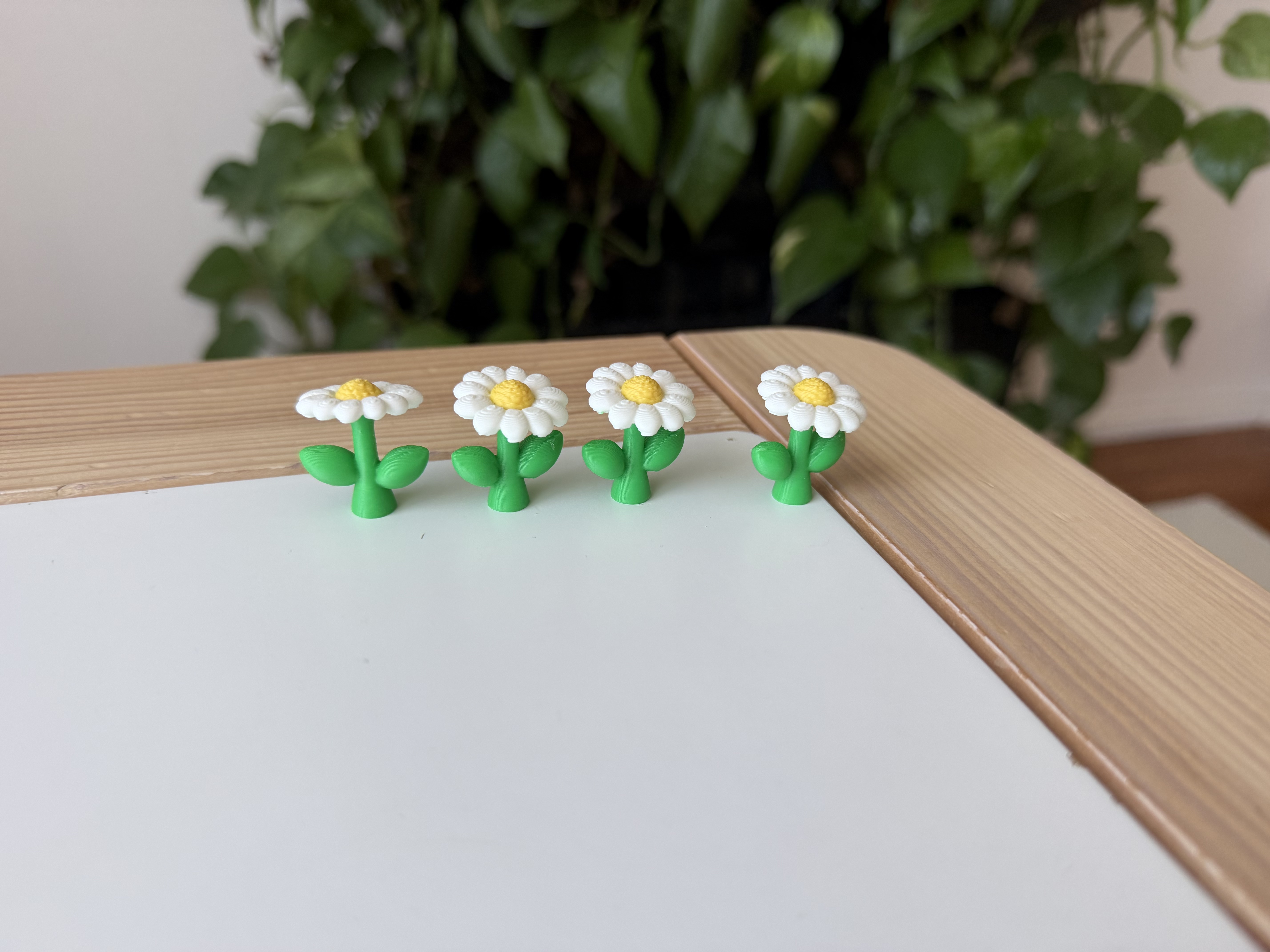 Miniatura 3 do modelo 3D Daisy