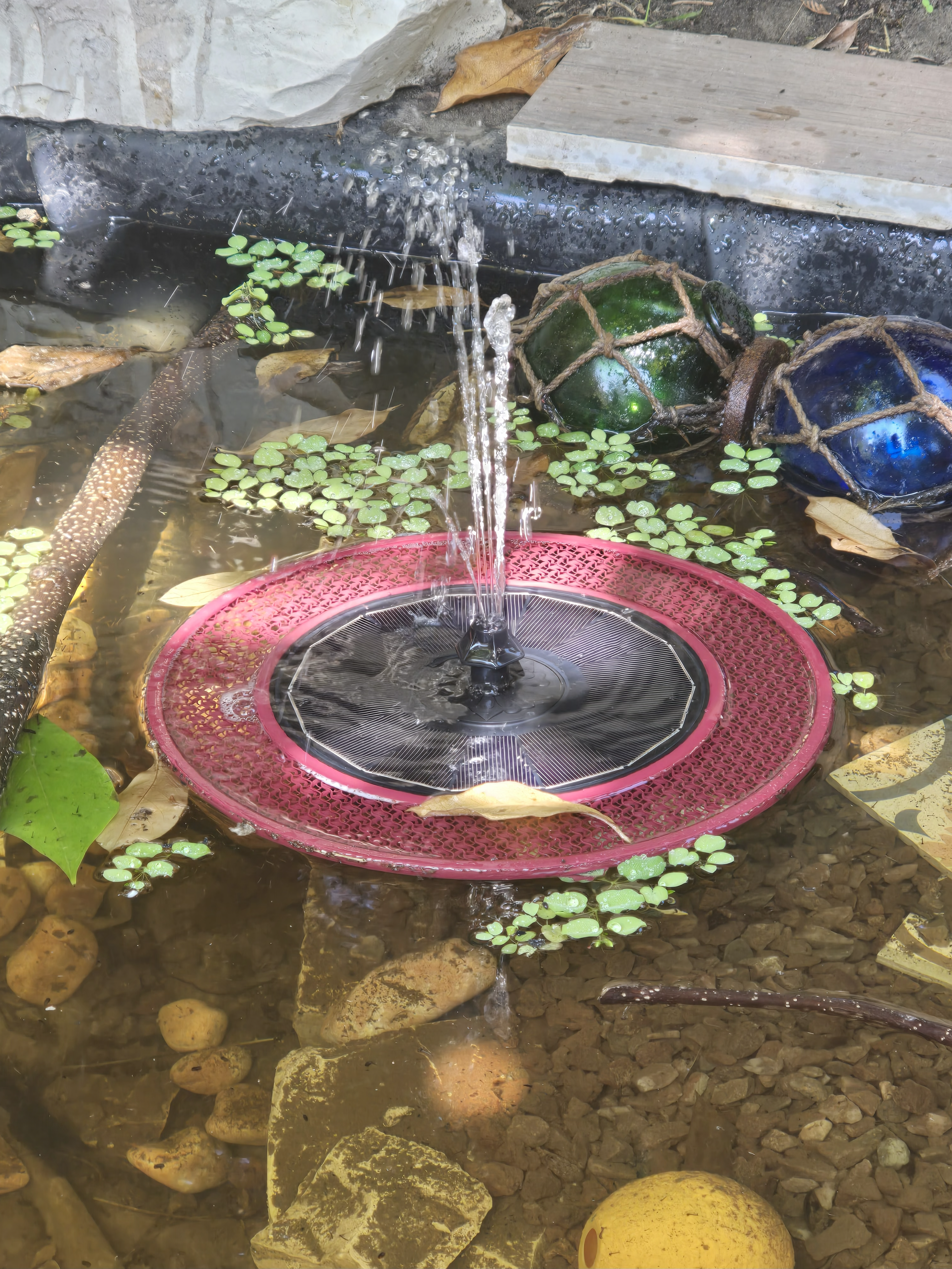 Abreuvoir à insectes pour fontaine flottante