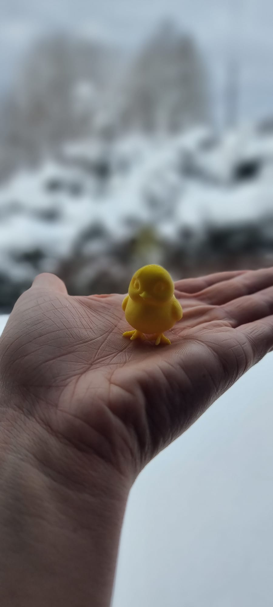 Mini chick — miniatura 6