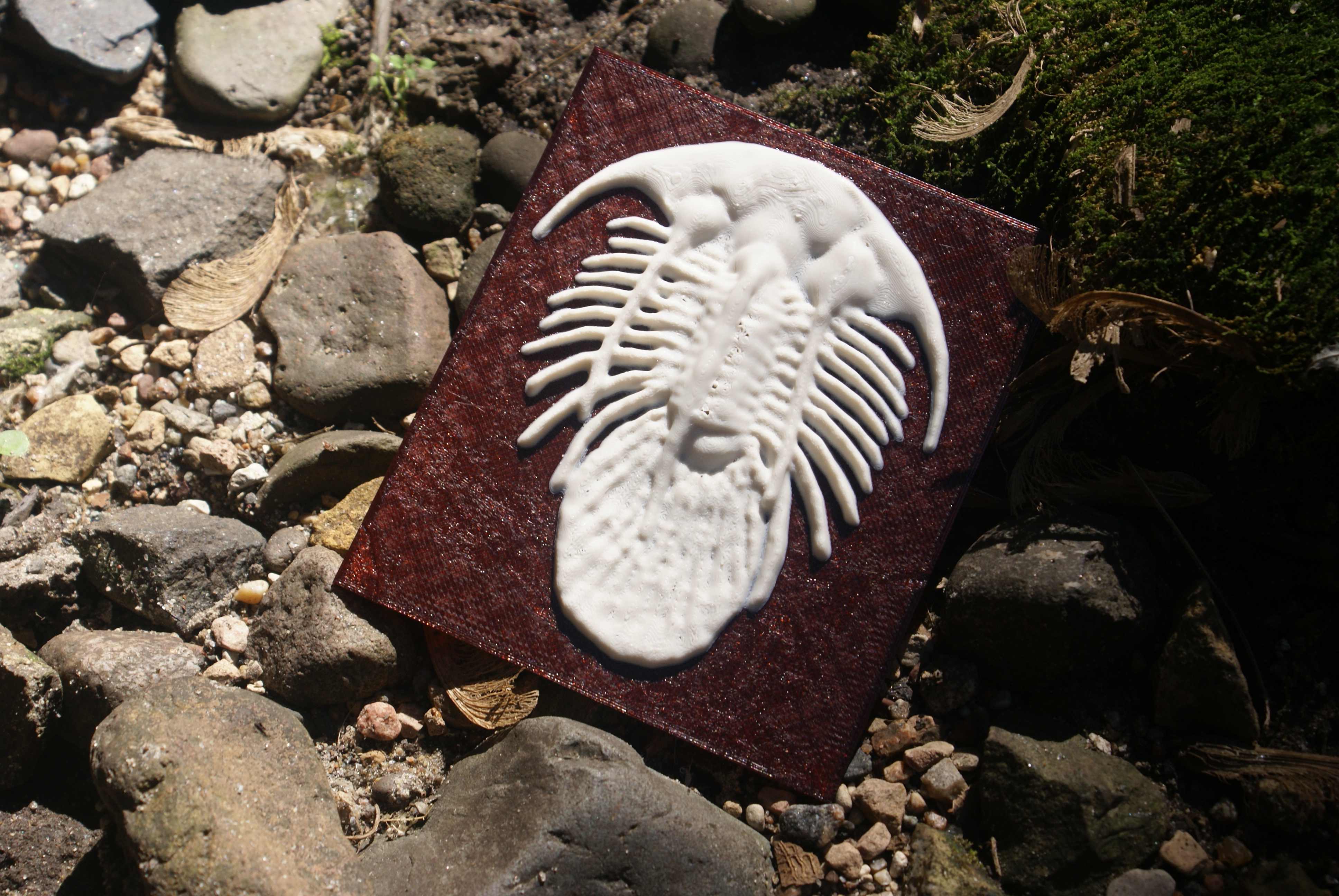 Trilobite "More-Than-a-Lithophane" 3D model by Bethany Weeks