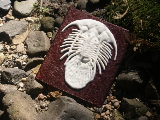 Trilobite "More-Than-a-Lithophane"