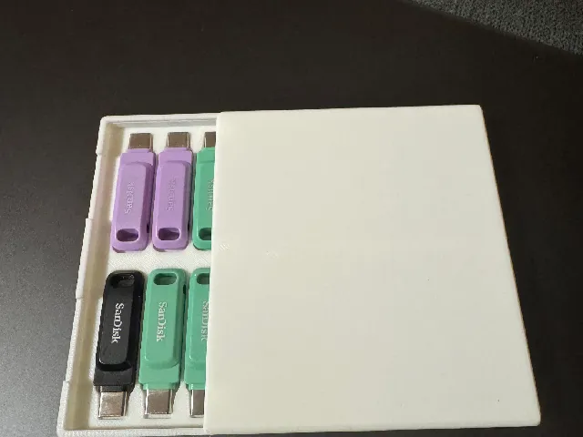 SanDisk Dual Go Case