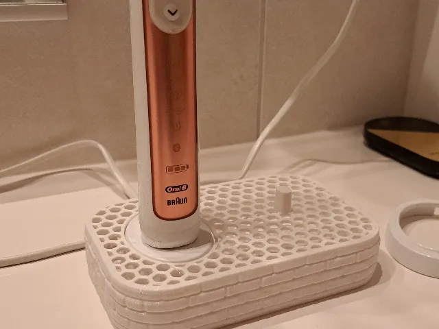 Oral-B dual toothbrush holder