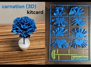 3D Flower kitcard - carnation / Nelke