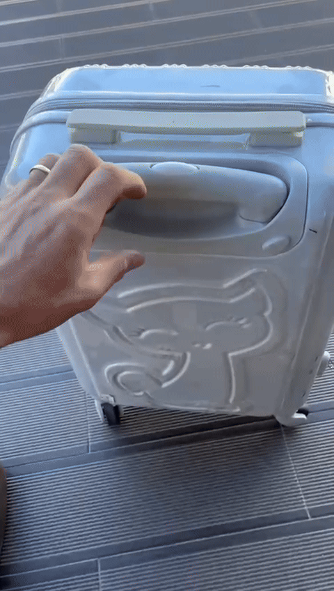 TROLLEY BAG HANDLE BUTTON