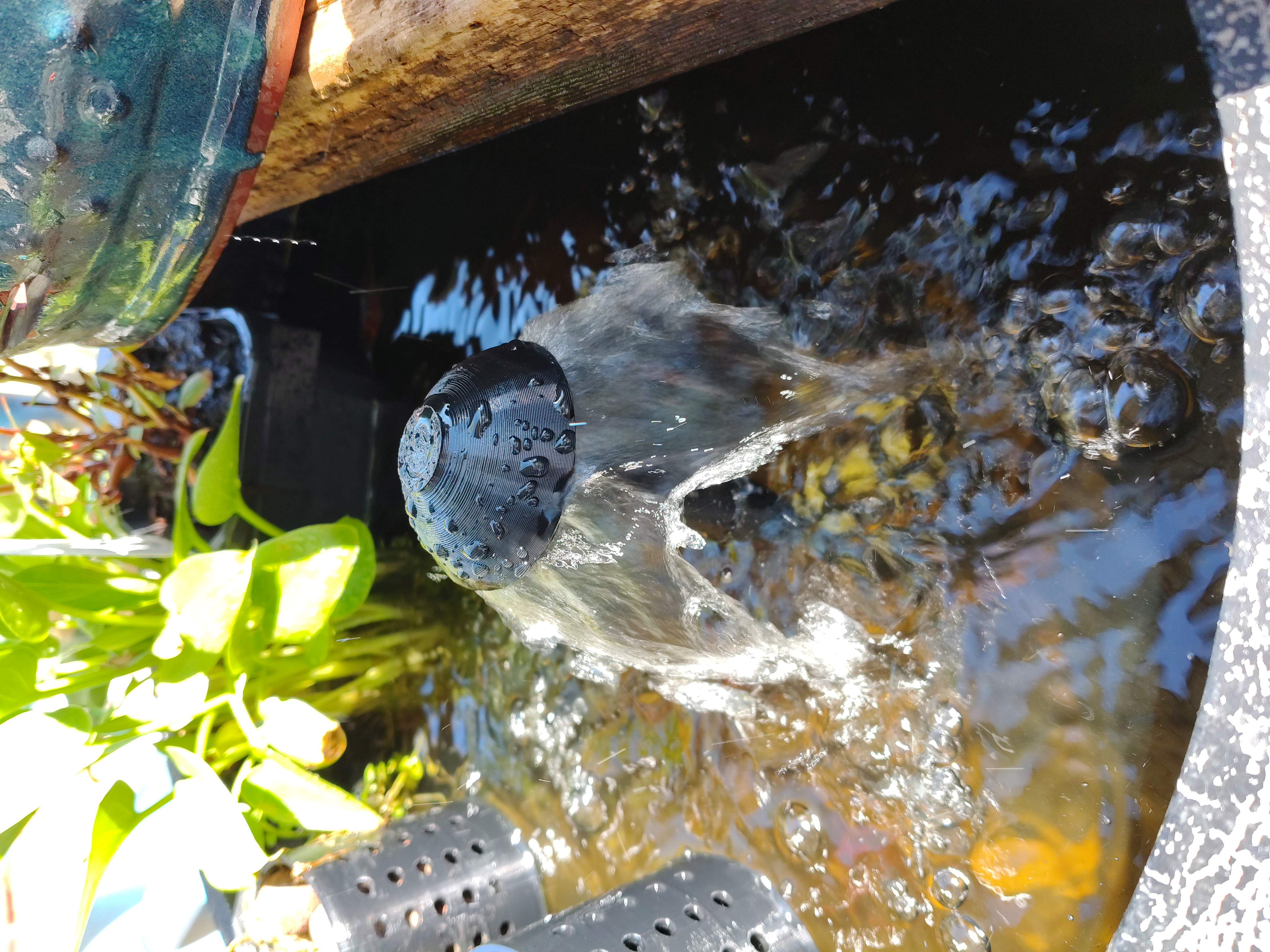 Pond Fountain Head 3D model