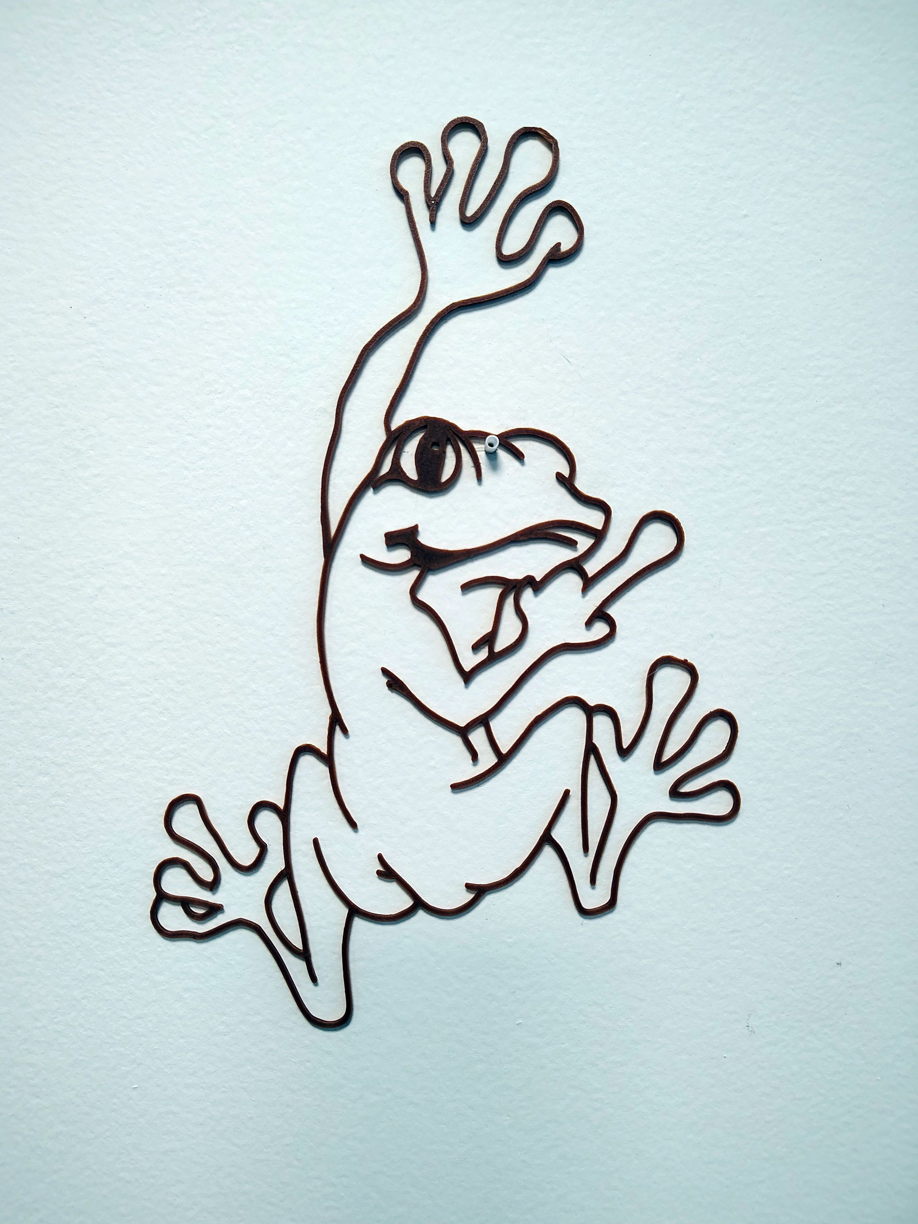 Frog wall art